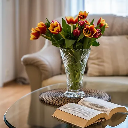 Magical In Apartment Prague