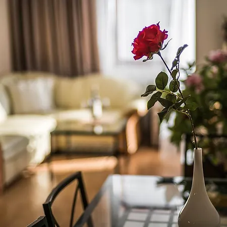 Apartment Magical In *
